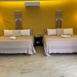 Suite Deluxe con Cama Queen